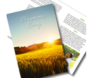 Unity Booklet- Prosperous Living