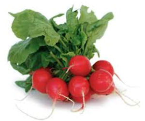 Free Radish seeds