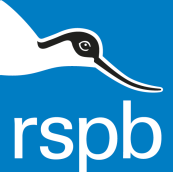 Free RSPB Explorer Fun Pack