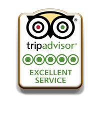 TripAdvisor: Request Free Excellent Service Pins