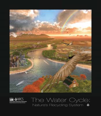Request: Water Cycle Poster- Educators