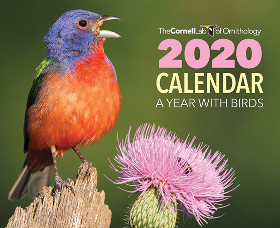 2020 Cornell Lab Calendar