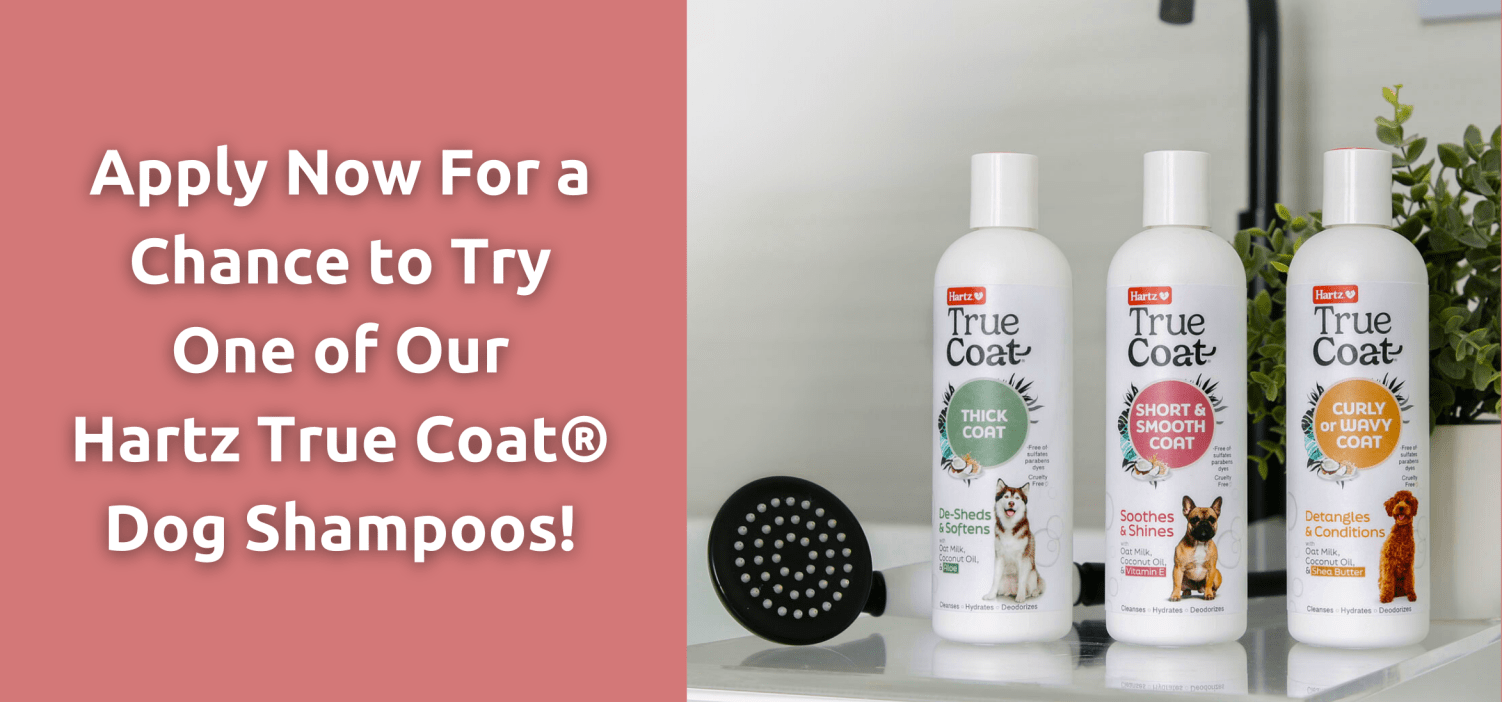 Apply For A FREE Sample Of Our Hartz True Coat® Dog Shampoo!