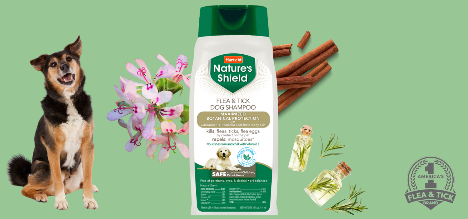 Apply For A FREE Sample Of Our Nature's Shield Flea & Tick Dog Shampoo!