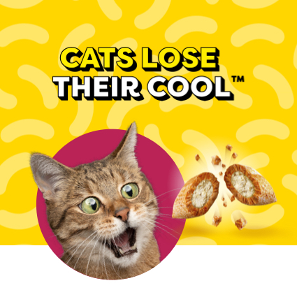 Coupon - Free Sample of Temptations Lickable Spoons cat treat