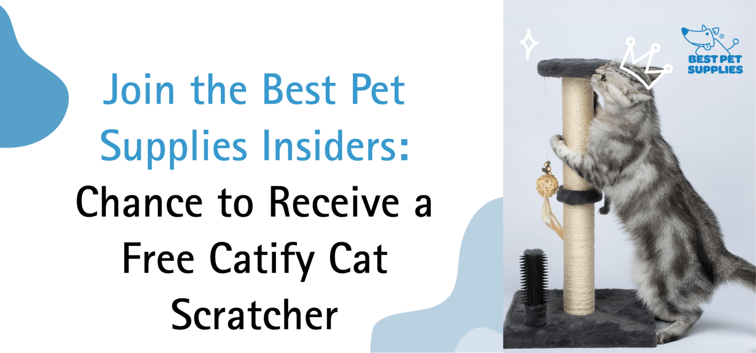 Free Catify Climb 'n' Scratch Post