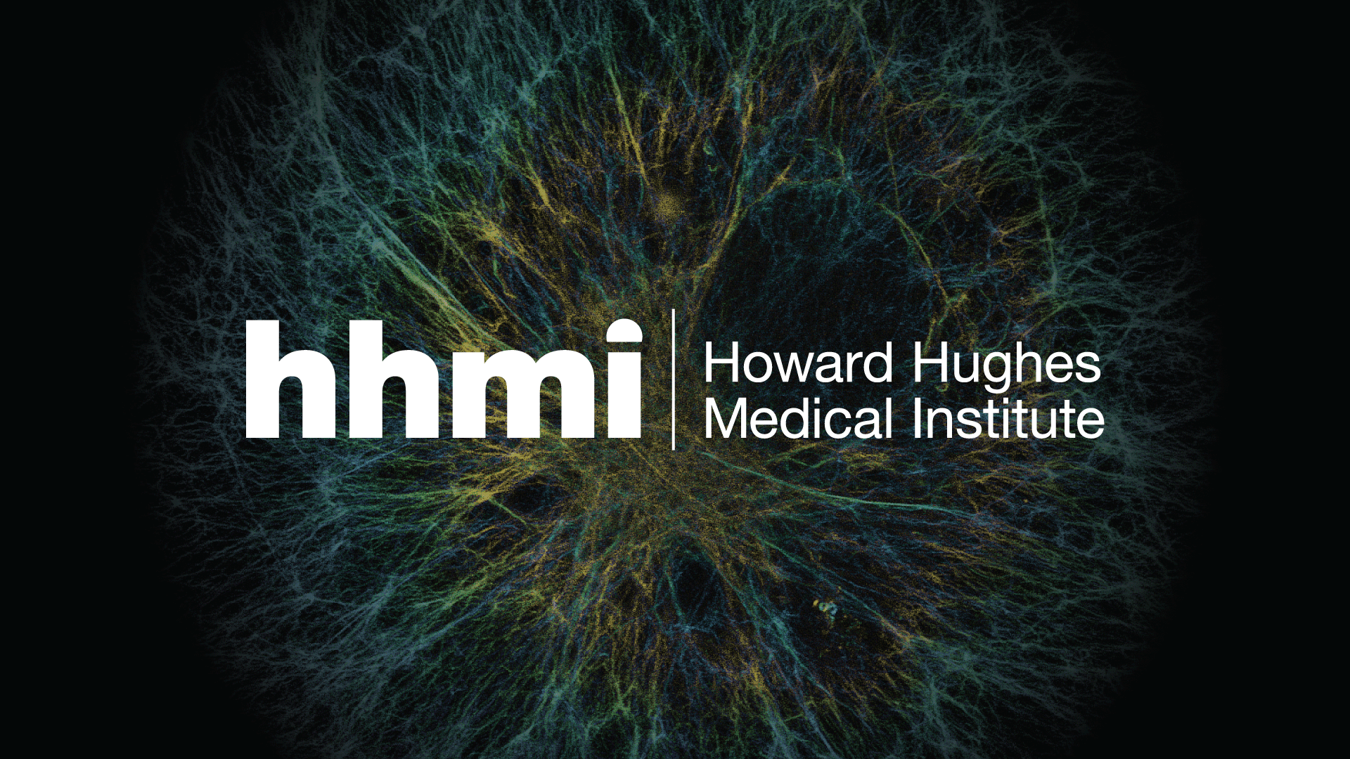 Free Educational DVDs From the Howard Hughes Institute