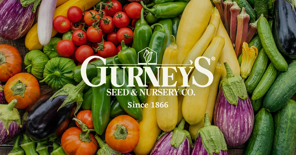 Free Gurney's Seed and Nursery catalog