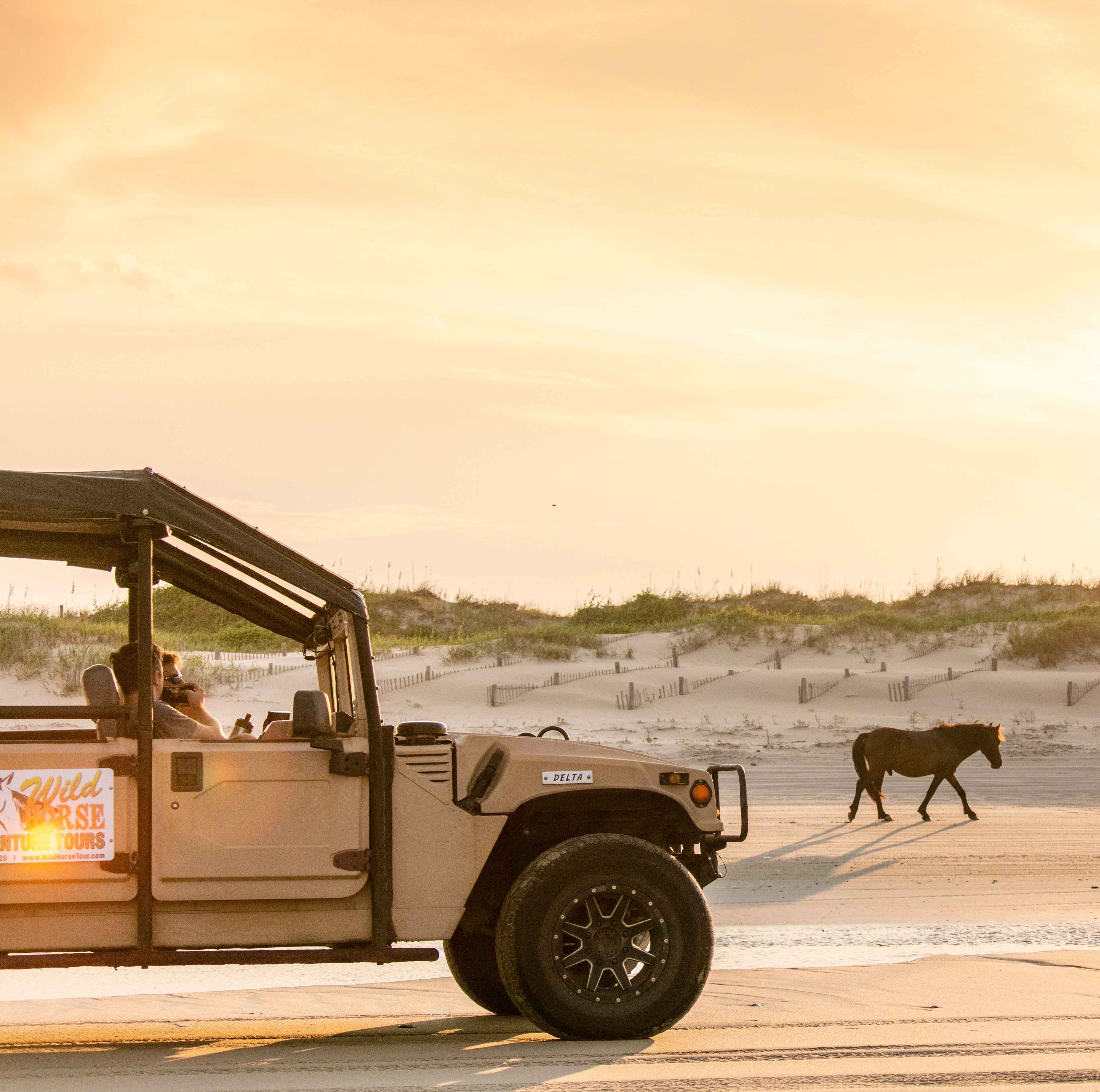 Free North Carolina Travel guide