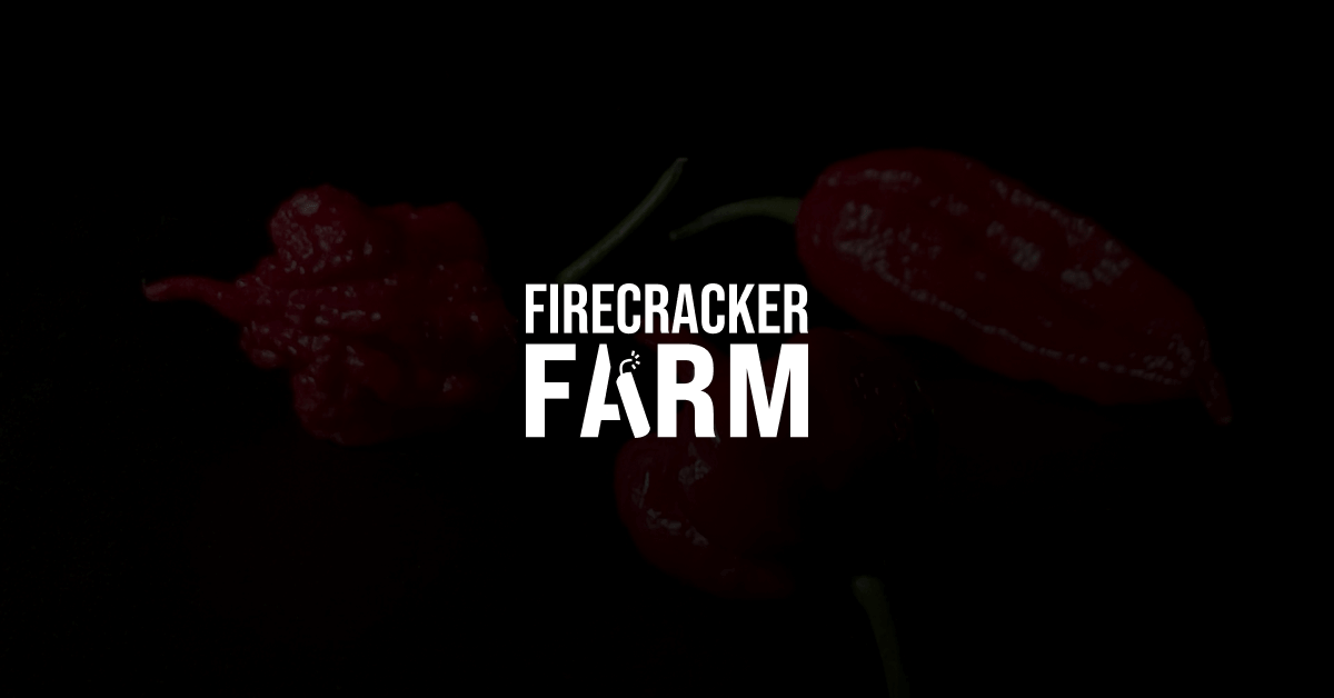 Free Sample of Firecracker Farm Pepper
