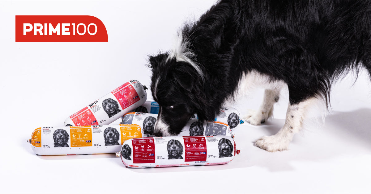 Free Sample of SPD™ Fresh Roll Premium Dog Food