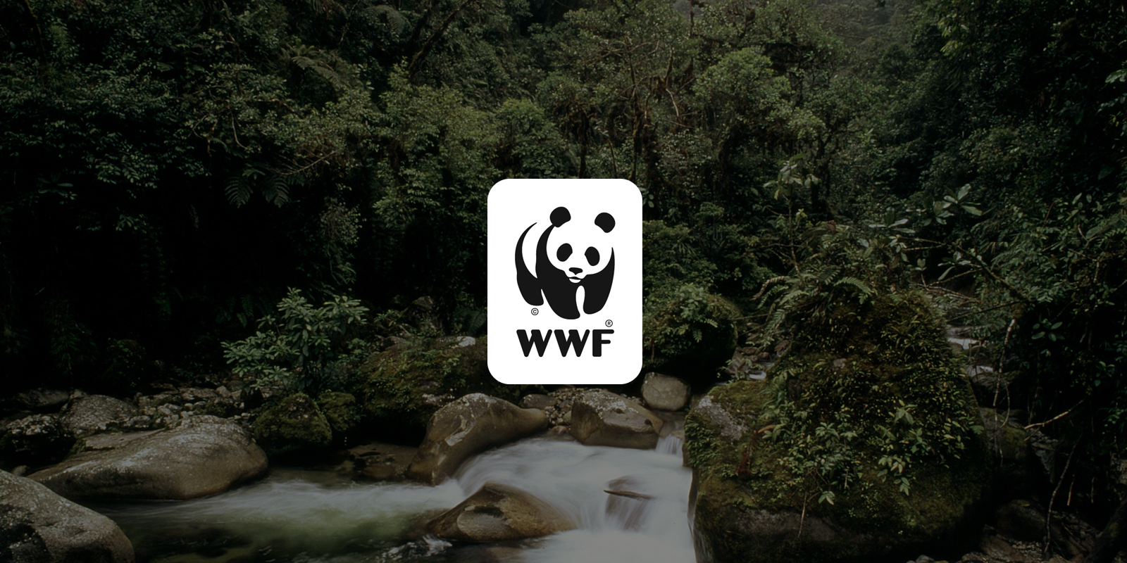 Free WWF Sticker