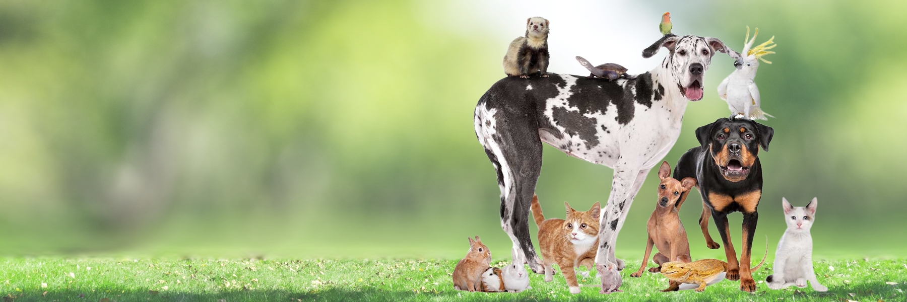 Lifestyle Farm & Pet Range