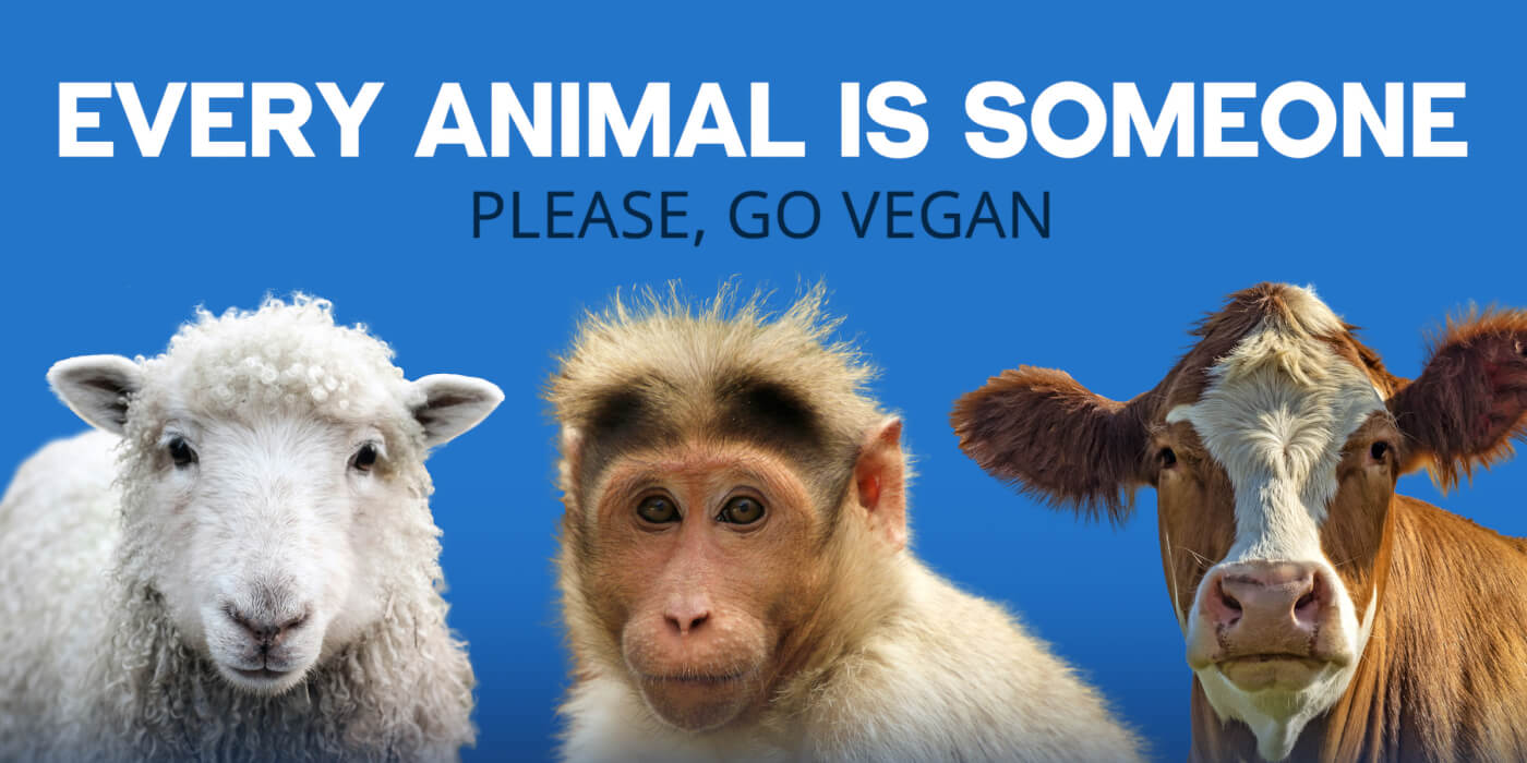 Request a FREE Vegan/Vegetarian Starter Kit